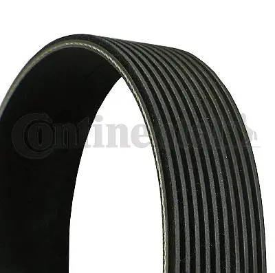 V-ribbed Belt